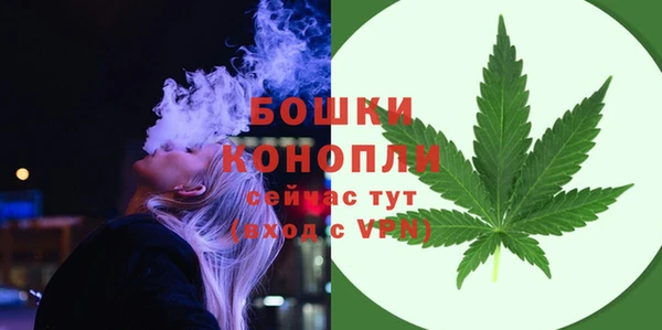 шишки Бородино